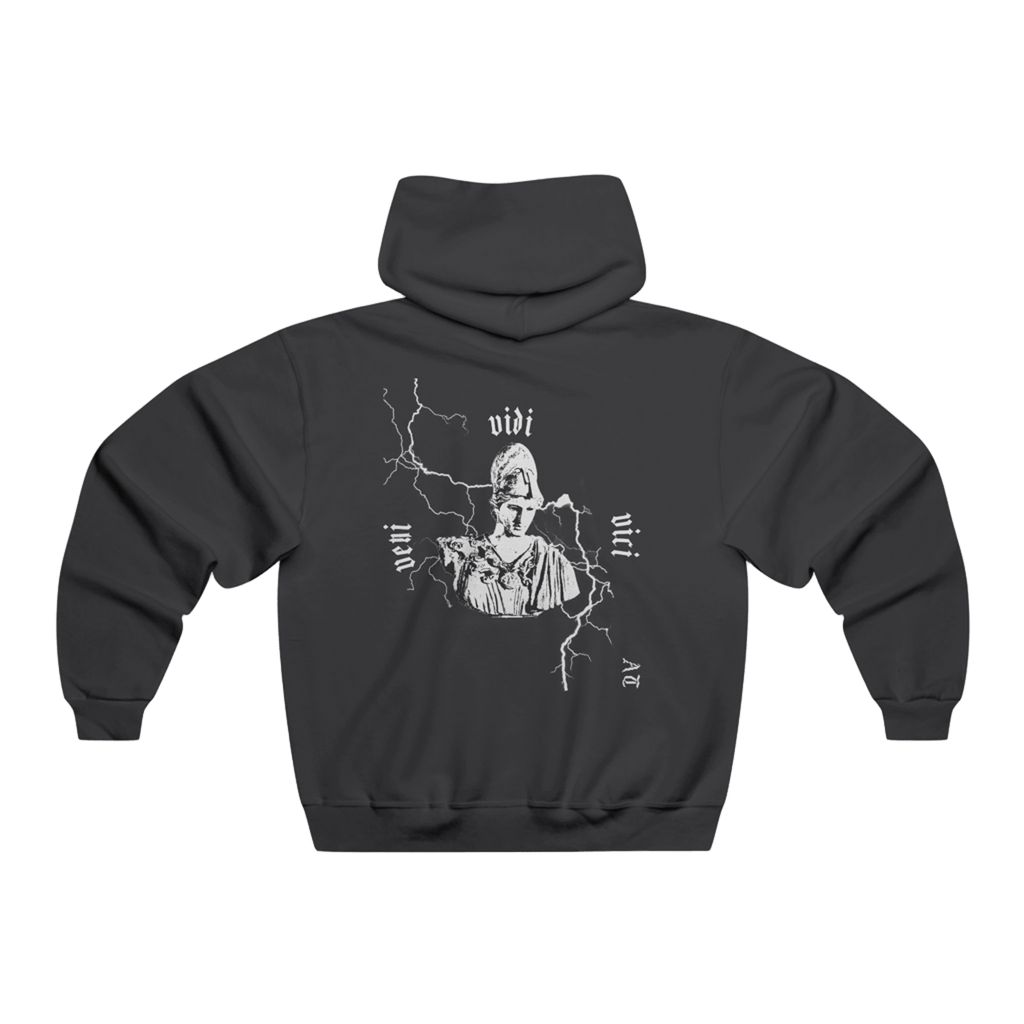 Hoodie Veni vidi vici