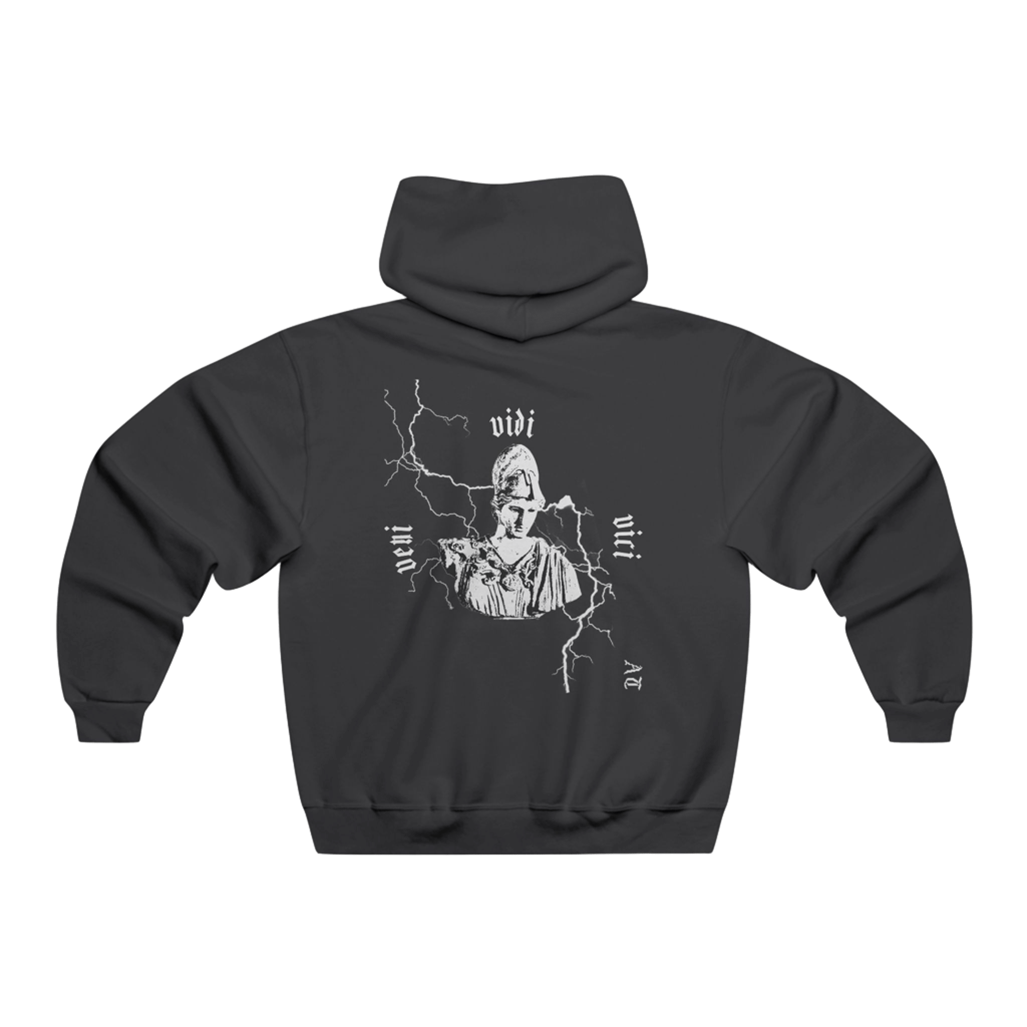 Hoodie Veni vidi vici