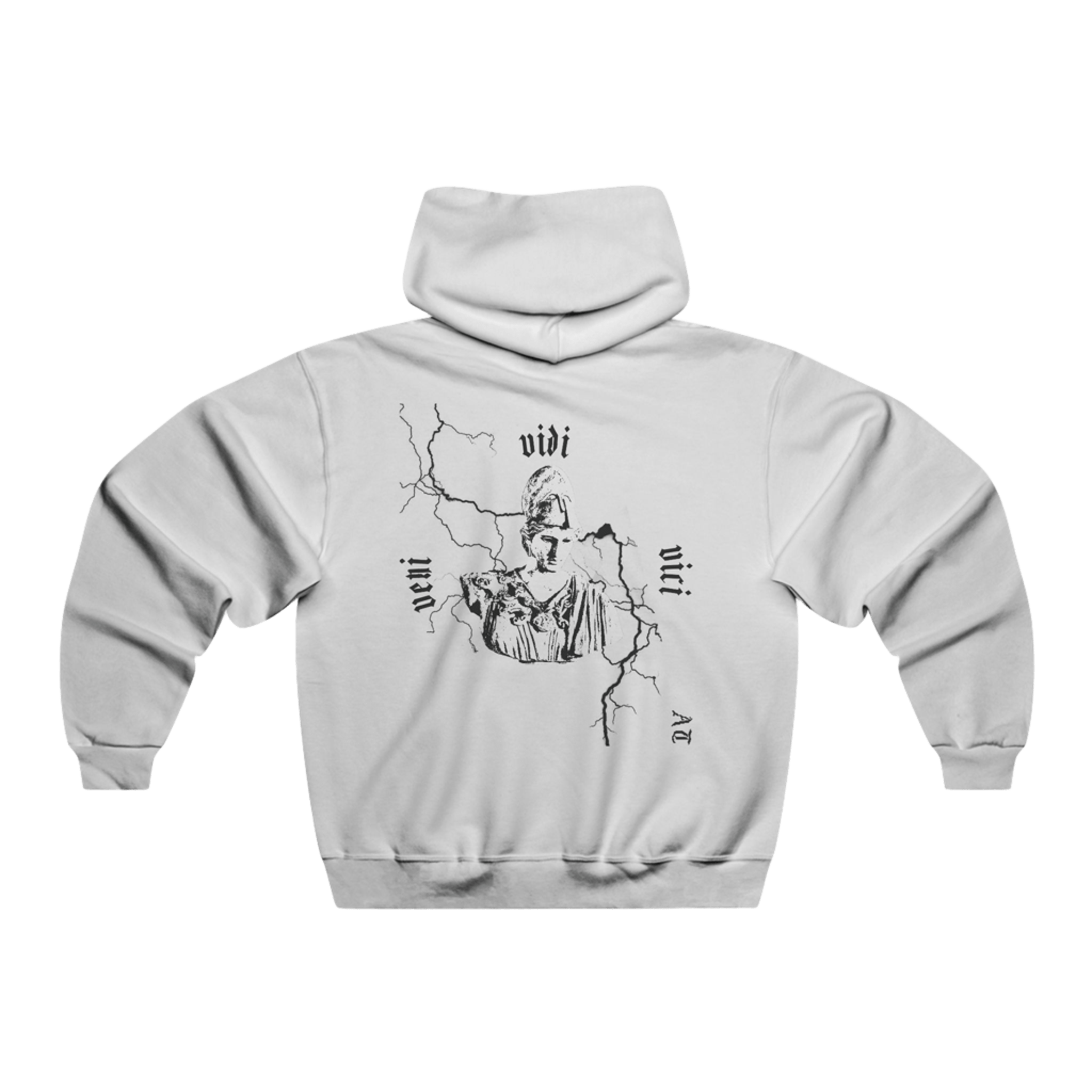 Hoodie Veni vidi vici