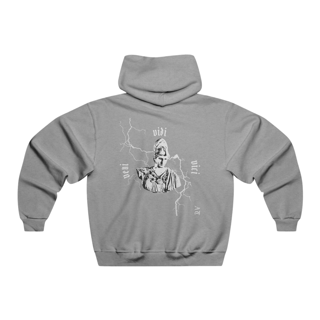 Hoodie Veni vidi vici