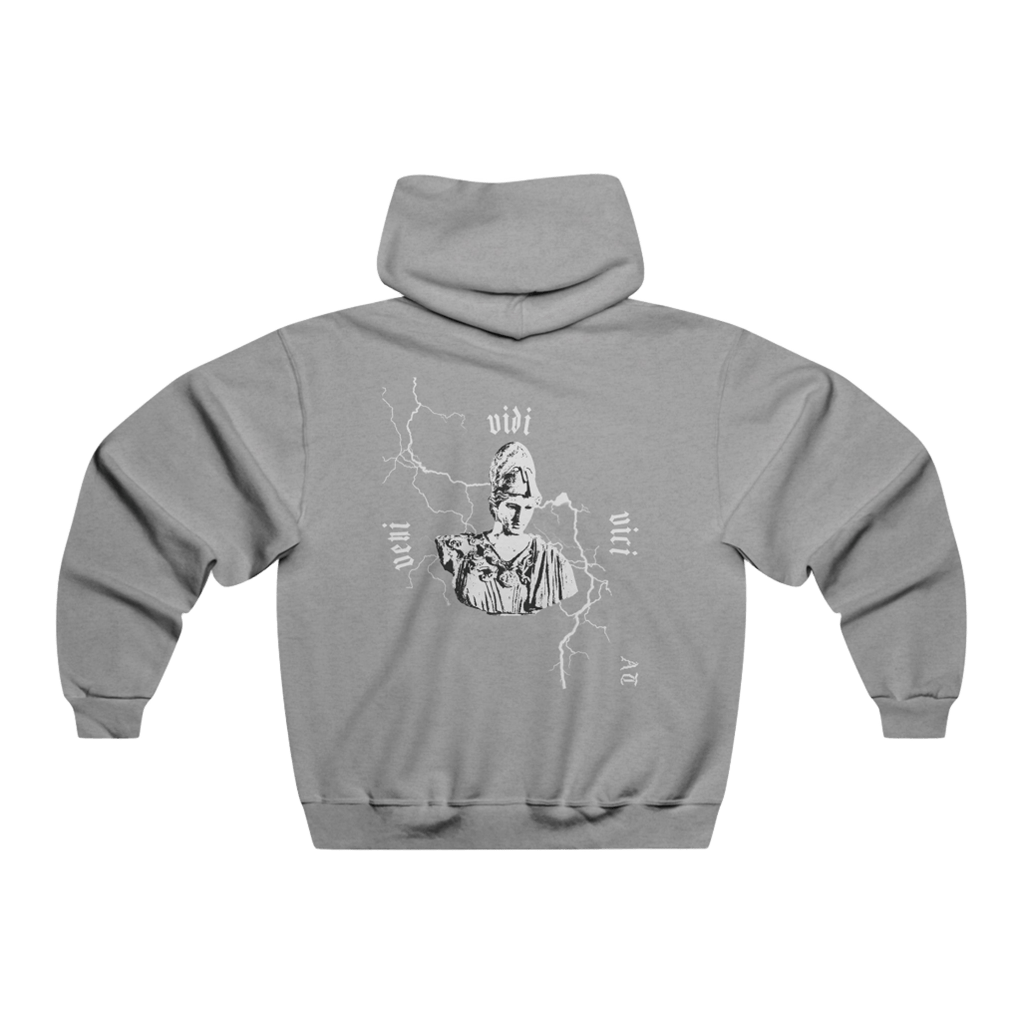 Hoodie Veni vidi vici