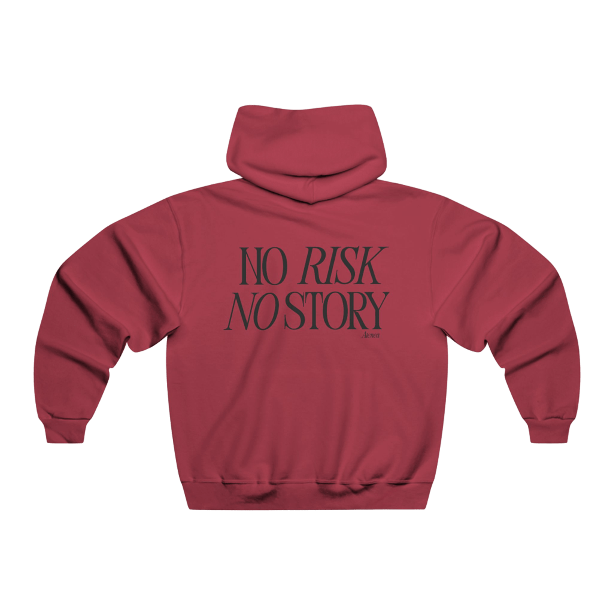 Hoodie-No Risk No Story